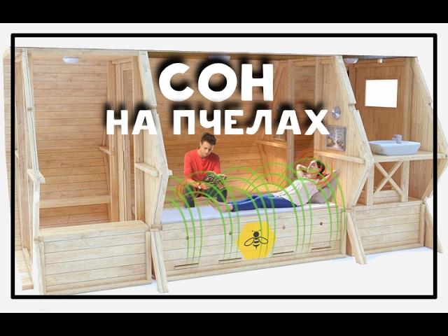 Сон на пчелах (домик на ульях)