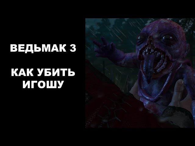 Ведьмак 3  - Дикая Охота. Дела семейные. Как убить игошу