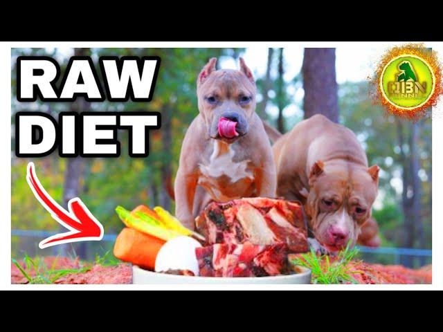 Starting Your Dog On Raw