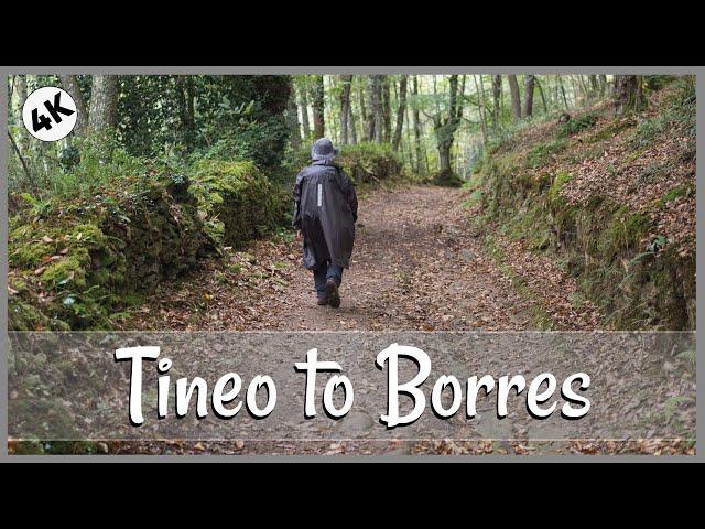 Experience Camino Primitivo: Tineo to Borres in 4K
