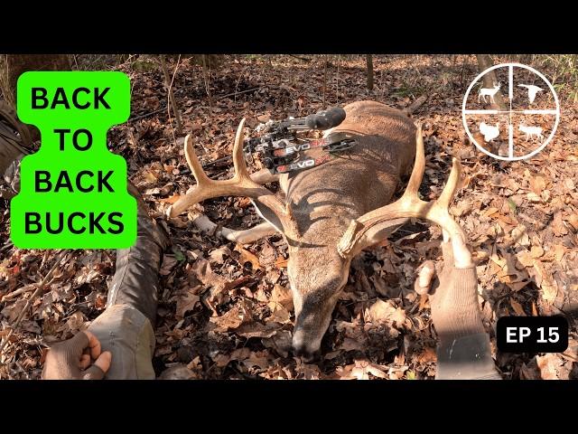 BOWHUNTING ON THE GROUND | SECOND BUCK IN TWO DAYS IS IT LUCK OR SKILL???