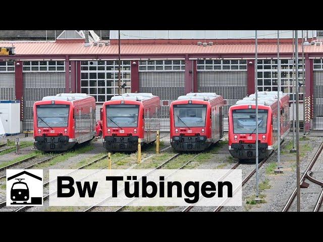 114 006 zu Gast im Bw Tübingen + einige Rangierbewegungen