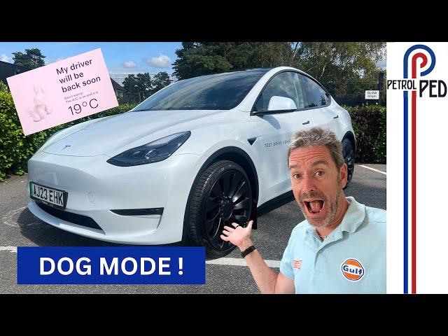 Why the Tesla Model Y is the best selling car in the WORLD ! | 4K