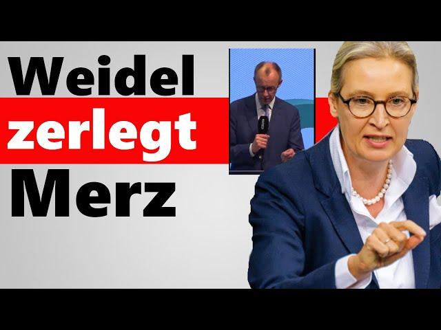 Merz lässt Bombe platzen | Er richtet heimliche Botschaft an alle Unions-Wähler!