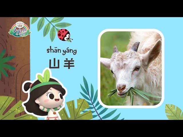 Early Learners | The All-seeing Goat | Emmy&GooRoo Nature Class | Kids Cartoons [SUBS]