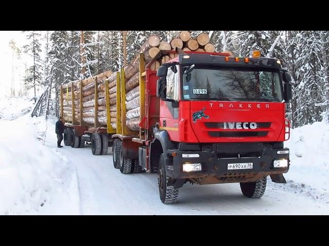 Лесовозы в сибири