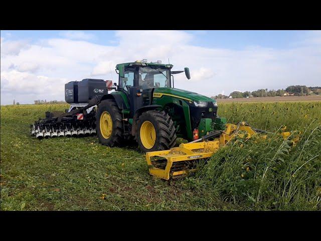 SLY agrisem BOSS no-till sowing winter wheat into cover crop