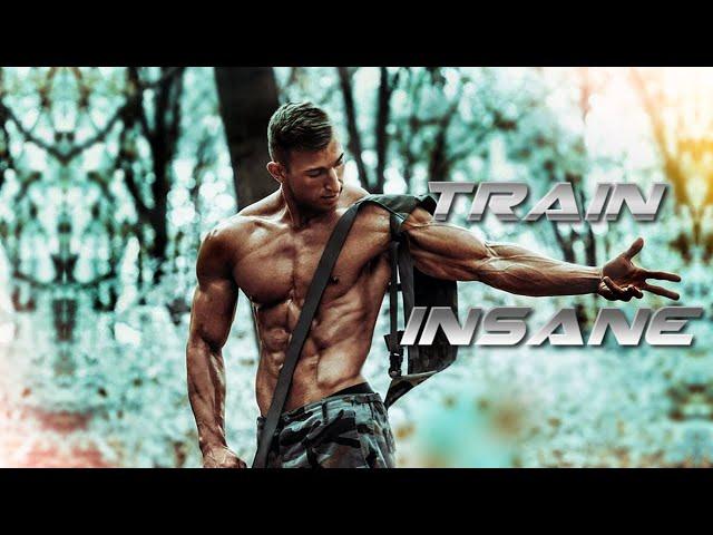 TRAIN INSANE - Aesthetic Fitness Motivation 