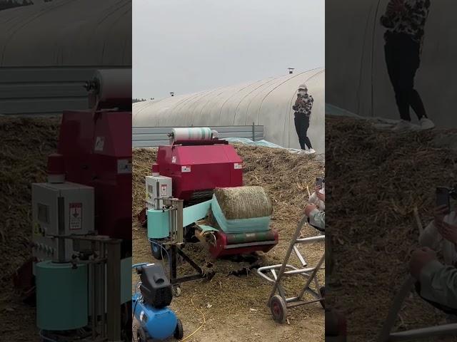 Silage Baling Film Wrapping Machine Detai HongjieNo need to store hay in pits,#