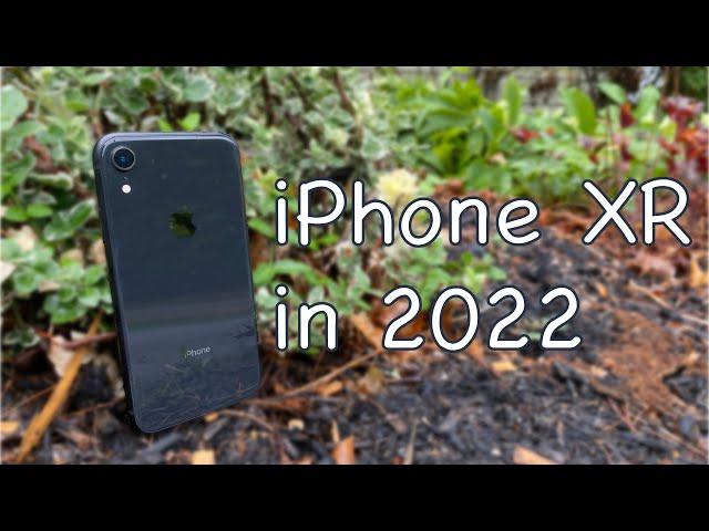 Should you buy the iPhone XR in 2022?