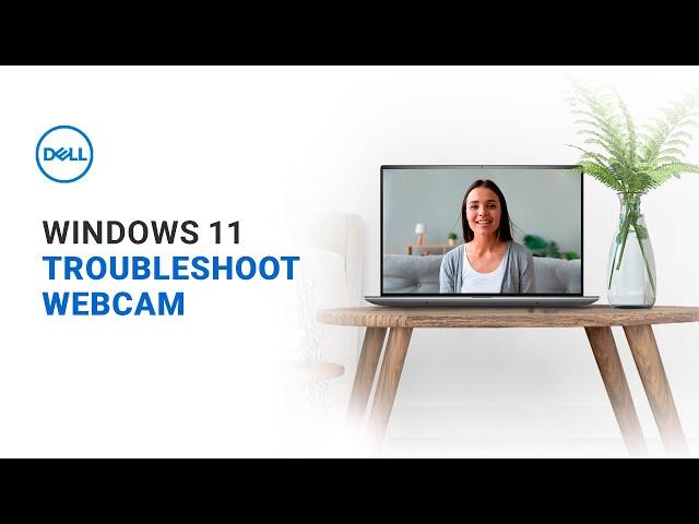 Webcam Not Working Windows 11 Dell (Official Dell Support)