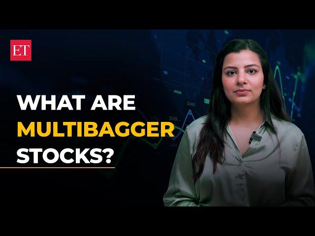 What are multibagger stocks?