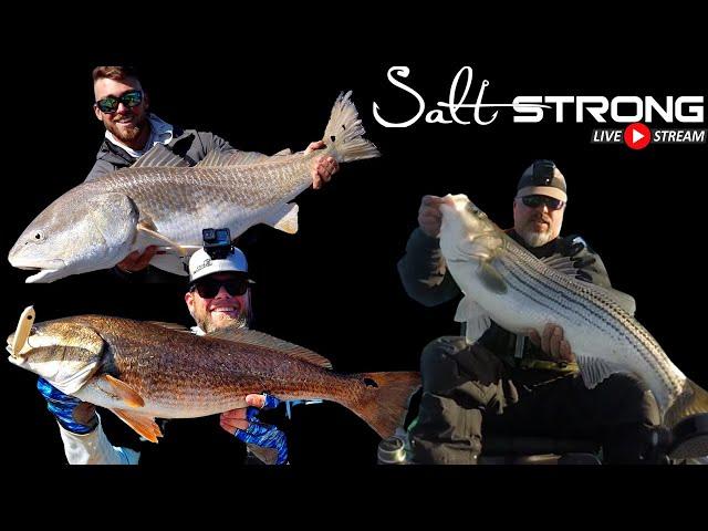 Ask a Salt Strong Fishing Coach - Live Stream