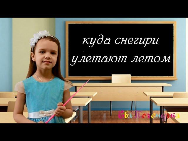 ЕваПочемучка -  куда снегири улетают летом?