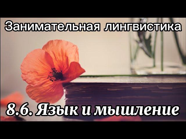 8.6. Язык и мышление