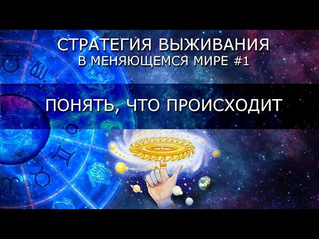 Стратегия выживания #1: Понять, что происходит