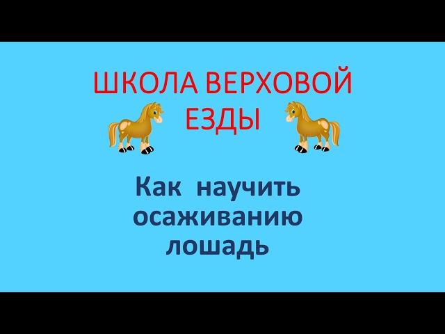 Как научить осаживанию лошадь