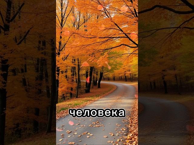 #стихи #цитаты #душа #стих #любовь #жизнь #поэзия #топ #люди #творчество