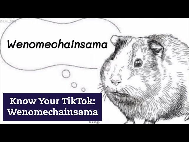 What Is "Wenomechainsama"?