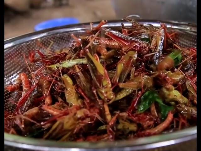 Cocinando saltamontes en casa