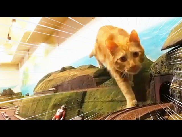 Paws on the Tracks: Cats and Model Trains 電車と猫