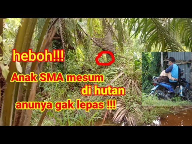 anak sma mesum di hutan