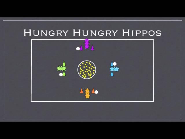 Physed Games - Hungry Hungry Hippos