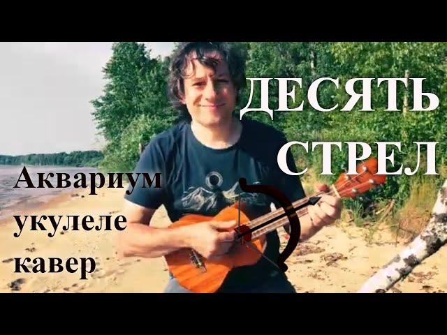 Антон Мизонов - Десять стрел (Аквариум укулеле кавер)