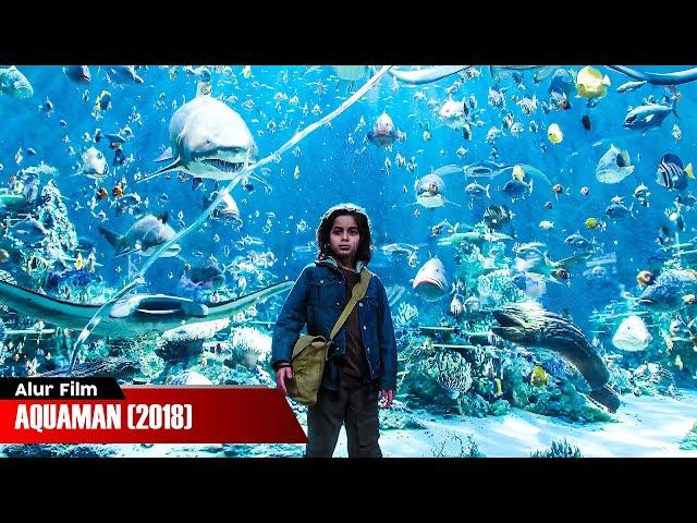 SEMUA HEWAN LAUT TUNDUK PADA BOCAH INI | ALUR CERITA FILM AQUAMAN (2018)