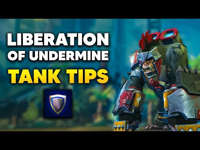 LIBERATION OF UNDERMINE TANK TIPS for Normal and Heroic | The War Within Season 2 Raid Guide