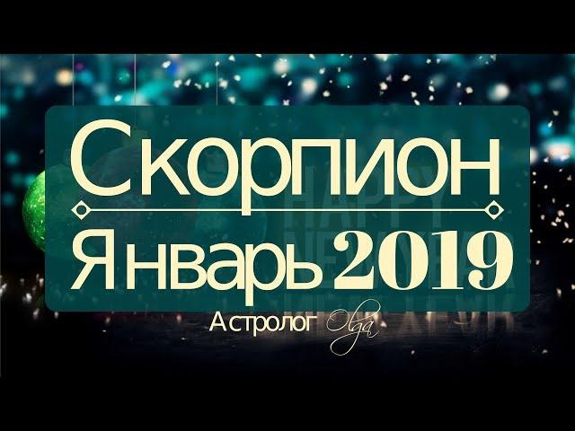 СКОРПИОН  Январь 2019 / Затмение в 3 и 10 доме / Астролог Olga