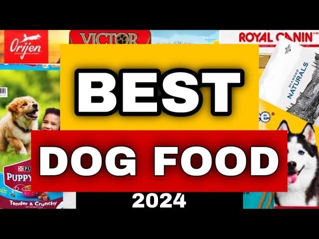 Best Dog Food Review