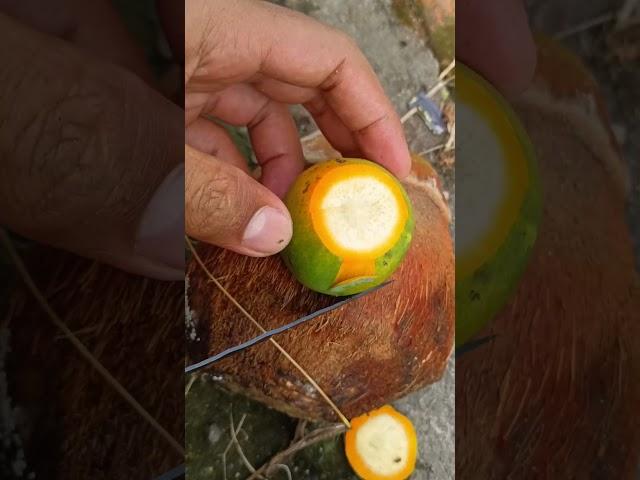 ASMR Split old betel nut #asmrfruit #satisfying #shortvideo