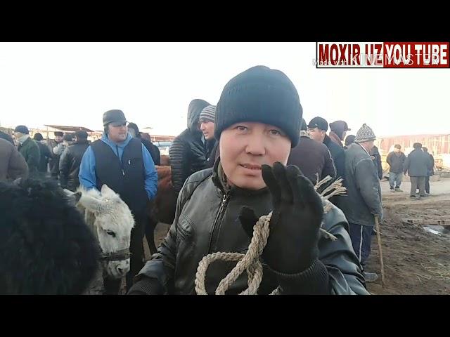 МАНГИТ МОЛ БОЗОР 1-К,ИСМ 07-02-2019. MANG'IT MOL BOZOR 1-QISM 07-02-2019.