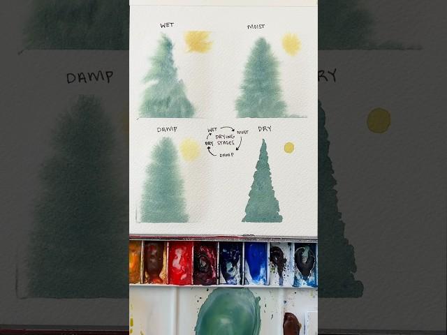 Watercolor drying stages #watercolortutorial #watercolor  #arttutorial