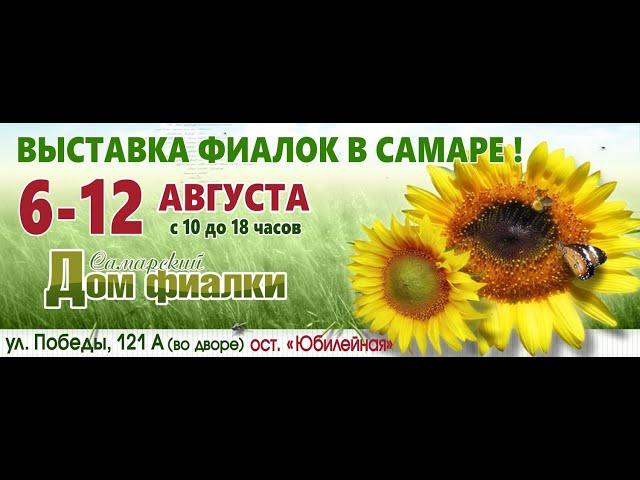 ВЫСТАВКА ФИАЛОК,08.08.20,Самарский дом фиалки,ул.Победы,121 А.