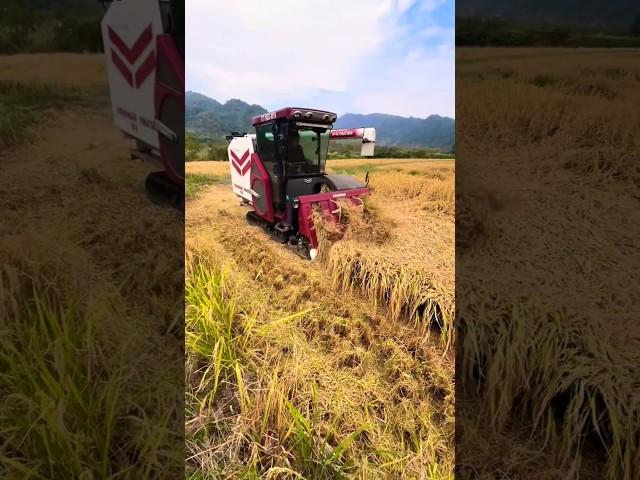 harvester machine Japan #shorts #yanmar #harvester