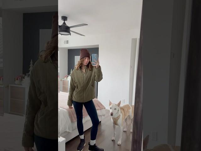 I can’t believe I booked the ticket!️ #travel #dogshorts #pets #dog #puppy #dayinmylife #vlog