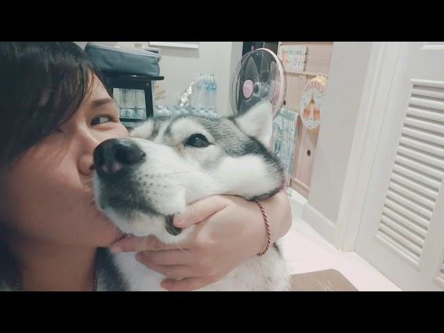 Husky KISS Sainoii vs Se7en #Se7enSainoiiSabara5