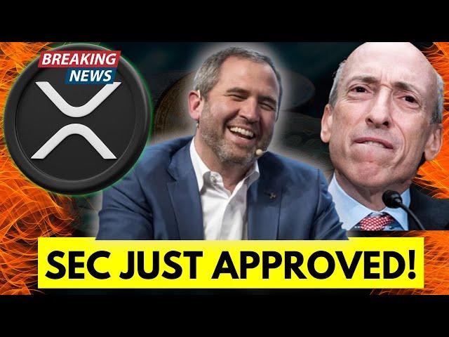 BREAKING XRP SEC NEWS! THE SEC DID IT! WHAT DOES THIS MEAN FOR RIPPLE AND FOR XRP? CRYPTO NEWS TODAY