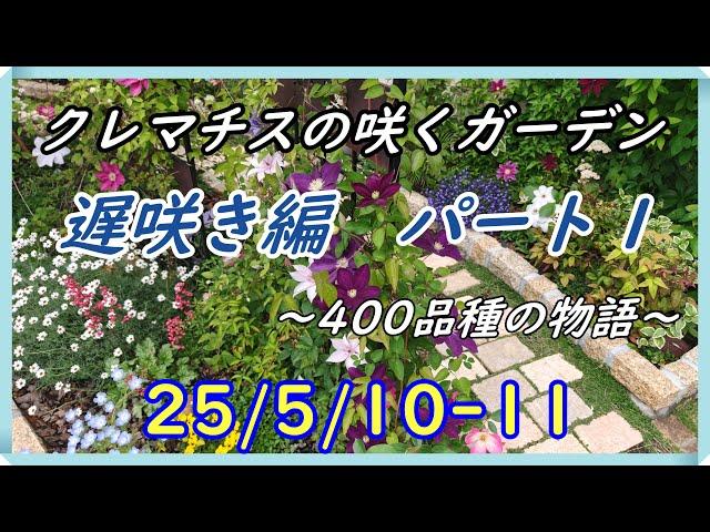 クレマチスの咲くガーデン1　遅咲き編 　～400品種物語～
