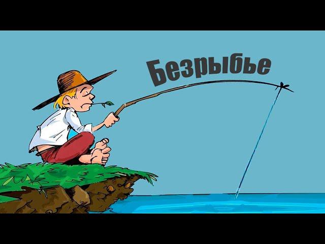 5 основных причин которые нужно знать, почему рыба не клюёт?