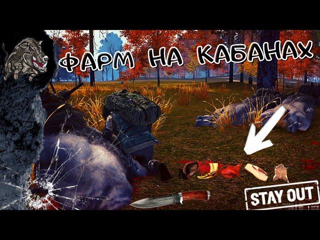 ► Stay Out///Stalker online  Sem Games  на EU-1 Фарм на черном лесу очки опыта для полковника