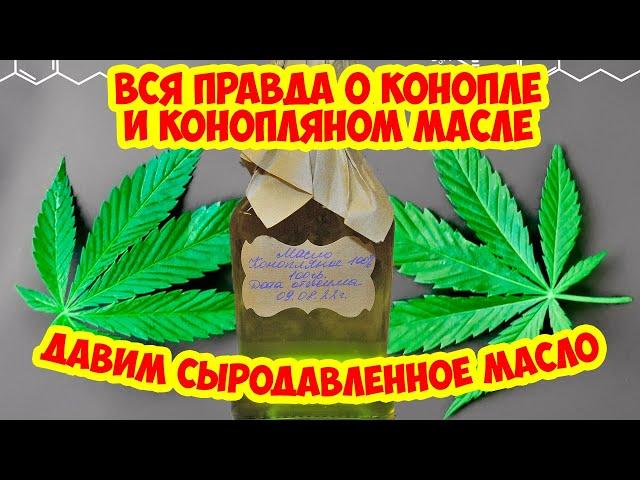 Пугающая правда о пользе конопляного масла