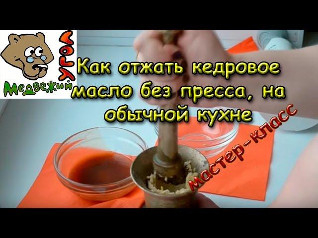 Как отжать кедровое масло без пресса, на обычной кухне