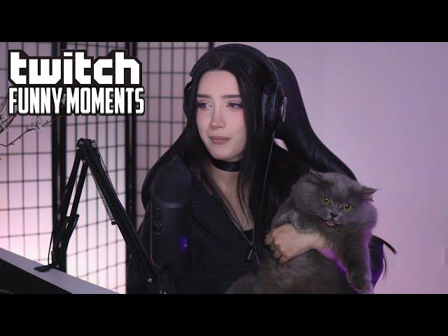 Топ Моменты с Twitch | Признание Эвелона и Морфилины