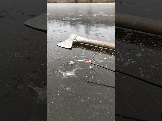  ПОЧАЛОСЯ 