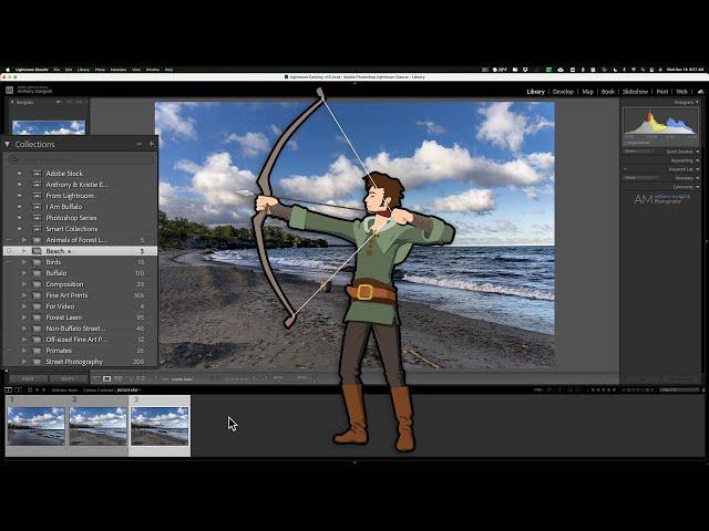 Why You Should Use TARGETED COLLECTIONS in Lightroom