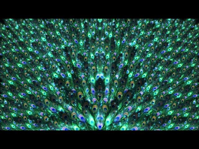 PEACOCK FEATHER MOTION ANIMATED VIDEO BACKGROUND ||  GRAPHICS, ANIMATED  BACKGROUND, FREE DOWNLOAD