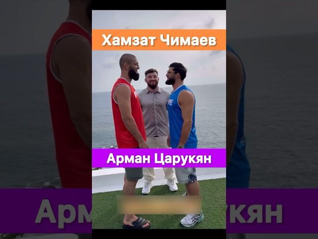 Хамзат Чимаев vs Арман Царукян‼️ Hype Reality 3. Первая битва взглядов.